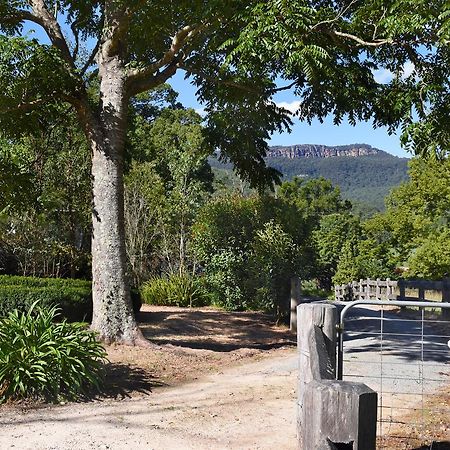 The Laurels B&B Kangaroo Valley Exterior photo